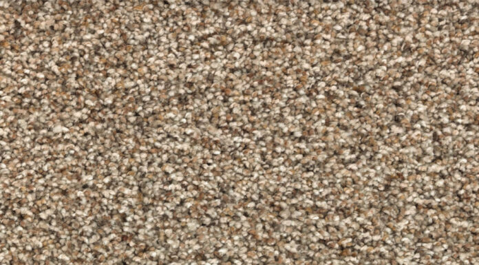 Equatorial Guinea’s Feminist Awakening: The Quiet Roar of the Second Wave