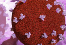 Woman Nominated to Head National Park Service: Breaking New Ground in Leadership