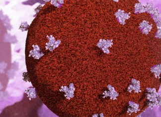 Woman Nominated to Head National Park Service: Breaking New Ground in Leadership