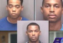 Women Break Barriers in Japanese Workforce: The Changing Landscape of Employment in Japan