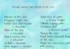 Unique Baby Names Inspired by the Ocean with Deep Meaning