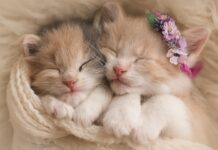 Cute Baby Names Inspired by Fortnite for Little Legends