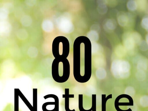 Unusual Baby Names Inspired by Nature with Rare Appeal