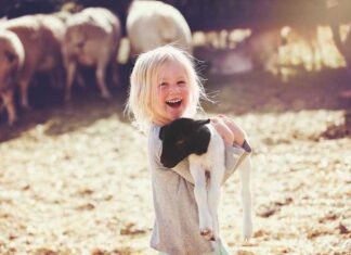 Unique Baby Names Inspired by Animals with Wild Beauty