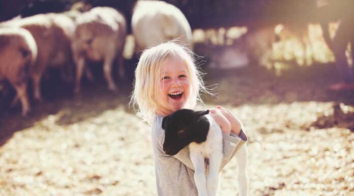 Unique Baby Names Inspired by Animals with Wild Beauty