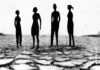 Genetic Testing Disability Rights and Reproductive Choice – An Intersectional Dilemma