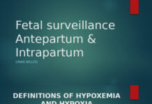 The State is the New Abuser: Surveillance and Pregnancy