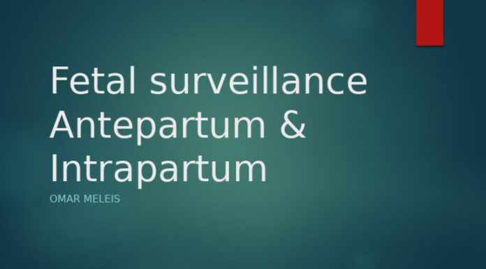 The State is the New Abuser: Surveillance and Pregnancy