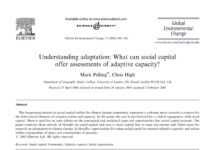 The Performance of Vulnerability as Social Capital on LinkedIn