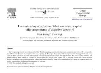 The Performance of Vulnerability as Social Capital on LinkedIn