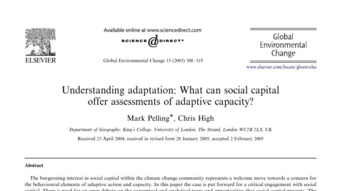 The Performance of Vulnerability as Social Capital on LinkedIn