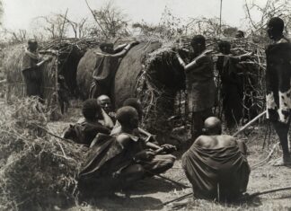 The Soft Life is What Women Deserve After Centuries of Hard Labor