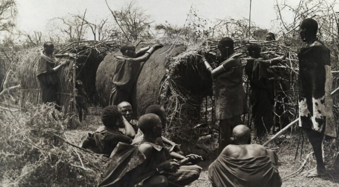 The Soft Life is What Women Deserve After Centuries of Hard Labor