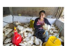 Why Women’s Economic Empowerment Cannot Be Separated from Violence Prevention