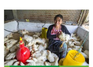Why Women’s Economic Empowerment Cannot Be Separated from Violence Prevention