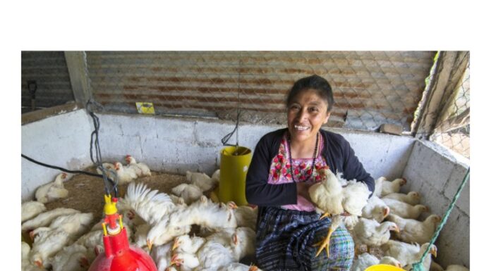 Why Women’s Economic Empowerment Cannot Be Separated from Violence Prevention