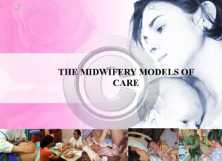 The Solidarity Between the Fight for Midwifery Models and Trans Birth Care