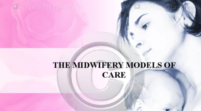 The Solidarity Between the Fight for Midwifery Models and Trans Birth Care