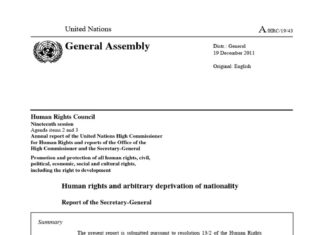 Nationality Rights: The Invisible Wall Around Motherhood