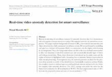 An Intersectional Feminist Reading of Surveillance Capitalism: Profiling the ‘Anomaly’