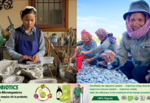 Gender Budgeting: How Governments Can Use Policy to Address Structural Inequality