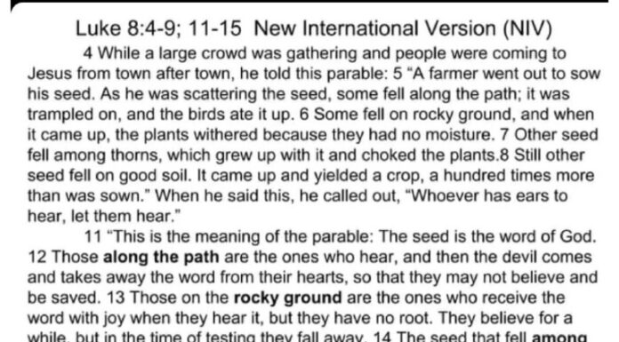 The Parable of the Sower is a Survival Guide