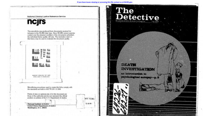 The Psychological Autopsy of Men Who Kill Their Partners: A Prevention Tool