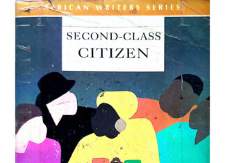 Nationality Rights: The Child of a Foreign Mother is a Second-Class Citizen
