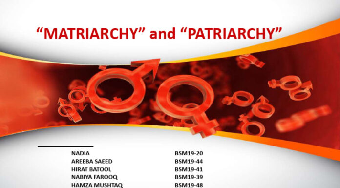 Eco-Feminism: The Connection Between Animal Agriculture and Patriarchy