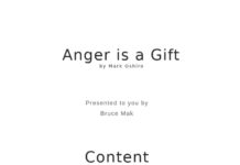 The Anger is a Gift