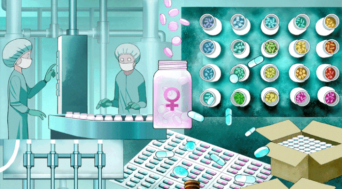 Understanding Trans-Exclusionary Radical Feminism (TERFs): A Critical History