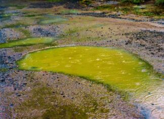 When the Cloud Rains Acid: AI’s Toxic Output