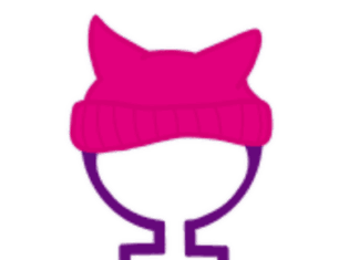 The Visual Symbolism of the Pink Pussyhat and Its Online Infamy