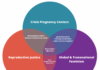 The Pro-Choice vs. Reproductive Justice Framework: Why Language Matters