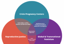 The Pro-Choice vs. Reproductive Justice Framework: Why Language Matters
