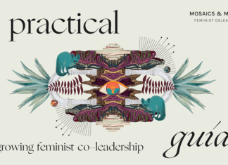 The Movement for Co-CEOs and Shared Leadership as Feminist Structures