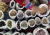Seed Saving is a Radical Act of Indigenous Feminism