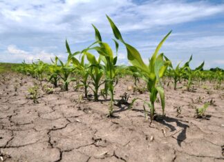 Climate Accountability: The Climate Crisis is a Care Crisis