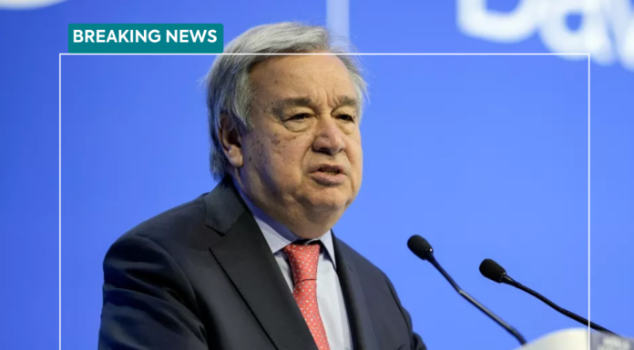 Climate Accountability: We Need an International Crime of Ecocide