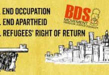 Feminist Solidarity with the Boycott Divestment Sanctions (BDS) Movement?