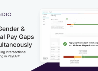 How to Conduct an Intersectional Pay Equity Audit for Your Organization