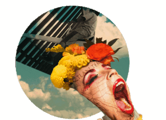 The Borderlands/La Frontera of Identity