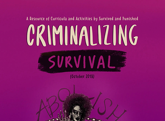 The Intersection of Homelessness and Gendered Violence: The Criminalization of Survival