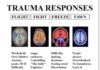 Healing Justice as an Intersectional Framework: Somatic Responses to Systemic Trauma
