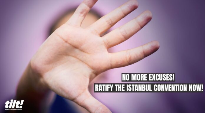 The Istanbul Convention: Why It’s the Gold Standard and Who Opposes It