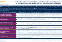 The Community-Based ‘Wraparound’ Model for Family Violence Intervention