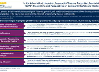 The Community-Based ‘Wraparound’ Model for Family Violence Intervention