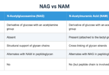 The Loneliness of Carrying the Mental Load: Feeling Like a Nag vs. Being a Manager