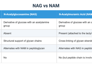 The Loneliness of Carrying the Mental Load: Feeling Like a Nag vs. Being a Manager