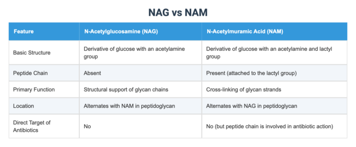 NAG-vs-NAM_1752476566